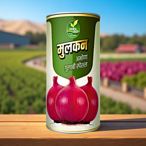WhatsApp Image 2025-06-12 at 11.00.19 PM